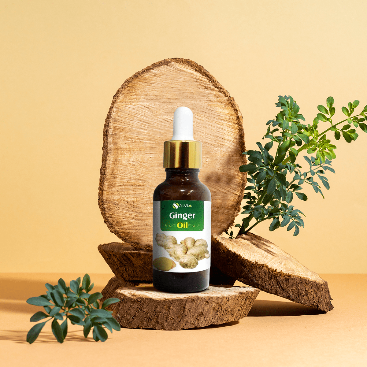 Salvia Natural Essential Oils Ginger Essential Oil Salvia Natural Essential Oils Ginger Essential Oil